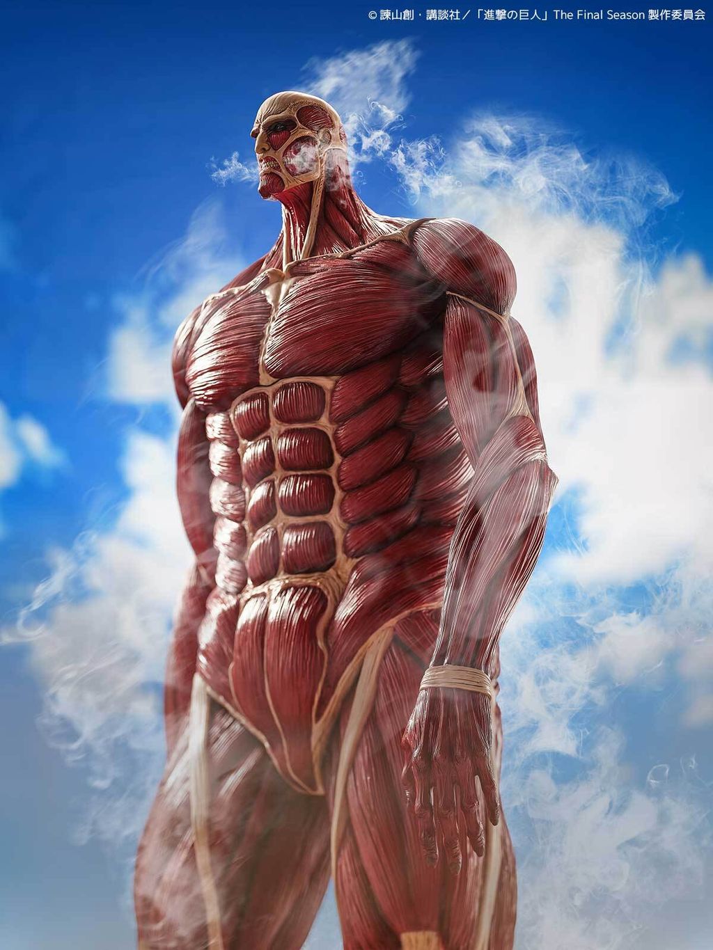 MegaSofvi_ColossalTitan_AOT 013