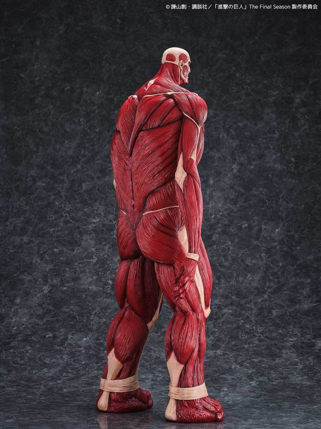 MegaSofvi_ColossalTitan_AOT 006