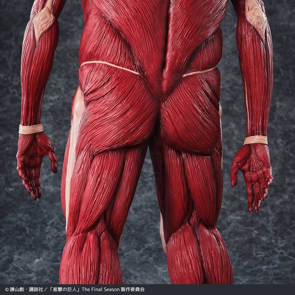 MegaSofvi_ColossalTitan_AOT 023