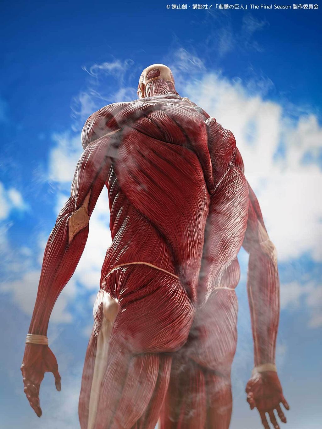 MegaSofvi_ColossalTitan_AOT 014