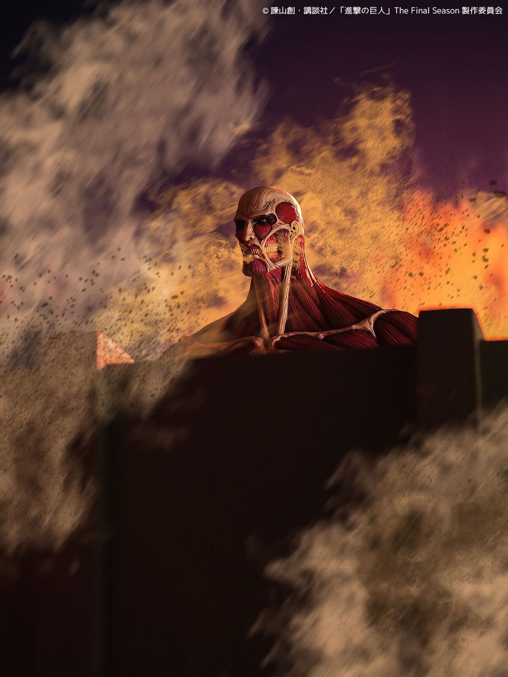 MegaSofvi_ColossalTitan_AOT 016