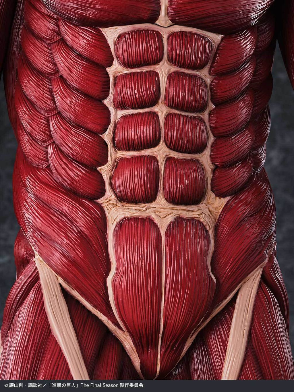 MegaSofvi_ColossalTitan_AOT 010