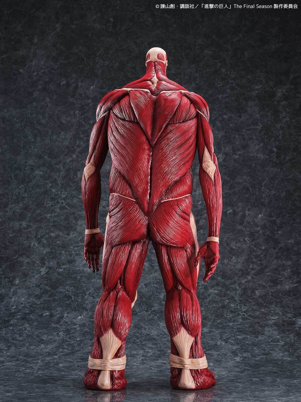 MegaSofvi_ColossalTitan_AOT 005