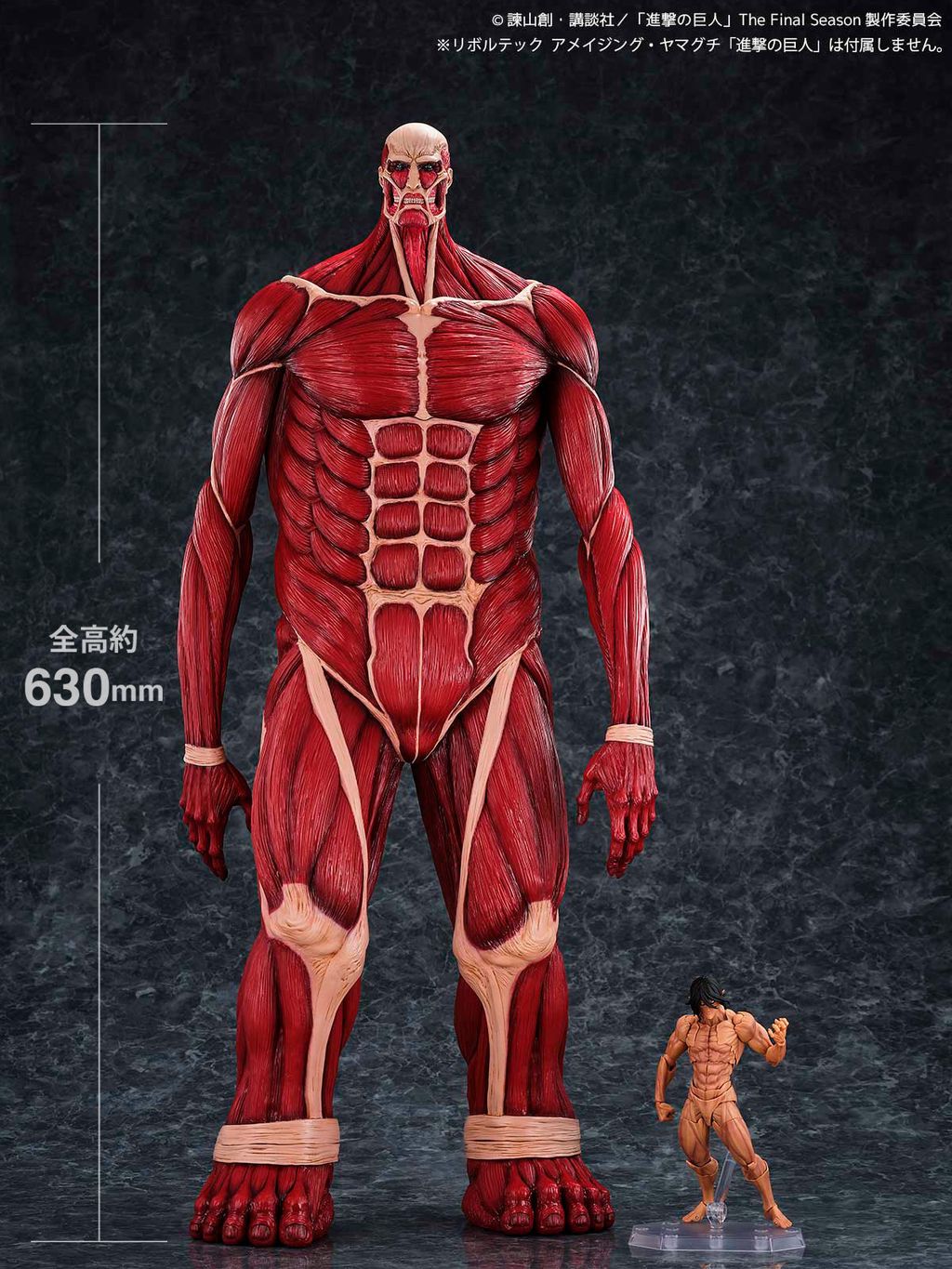 MegaSofvi_ColossalTitan_AOT 009