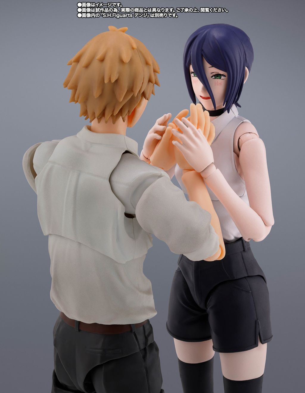 SHF_Reze_CSMRezeArc_PB 009