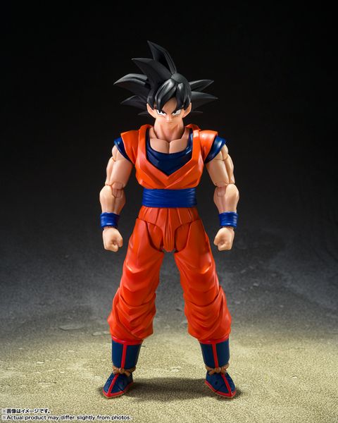 SHF_SonGoku_KindHeartedSaiyan_DBZ 001