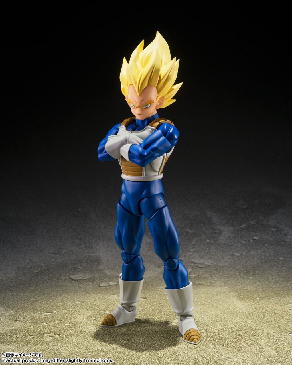 SHF_SSVegeta_DangerousPride_DBZ 001