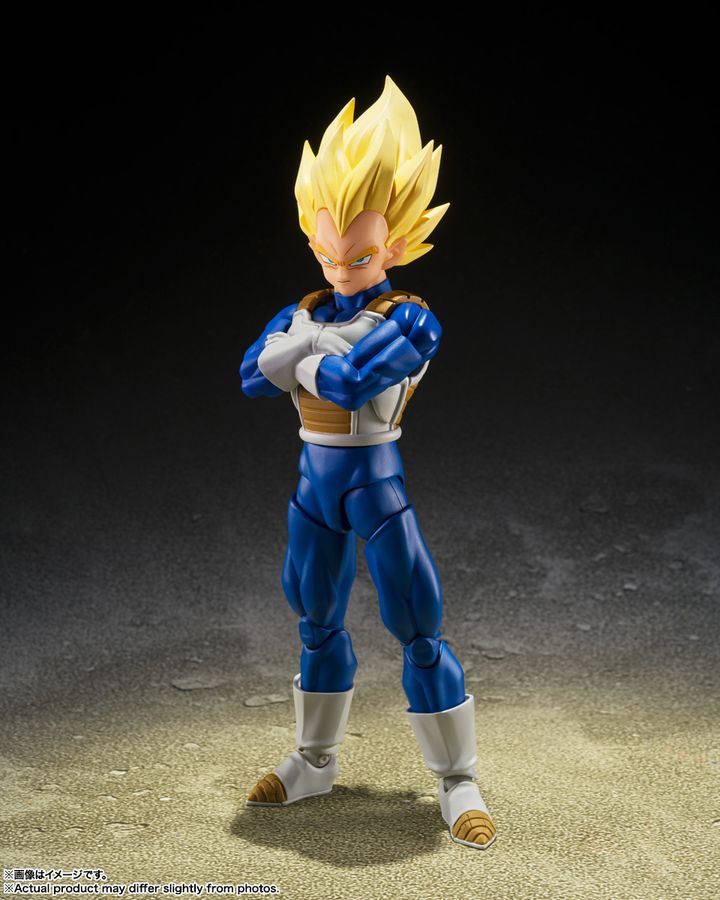 SHF_SSVegeta_DangerousPride_DBZ 001