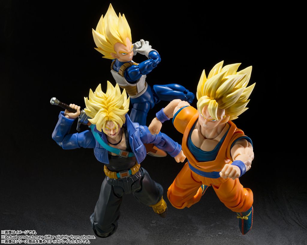 SHF_SSVegeta_DangerousPride_DBZ 007