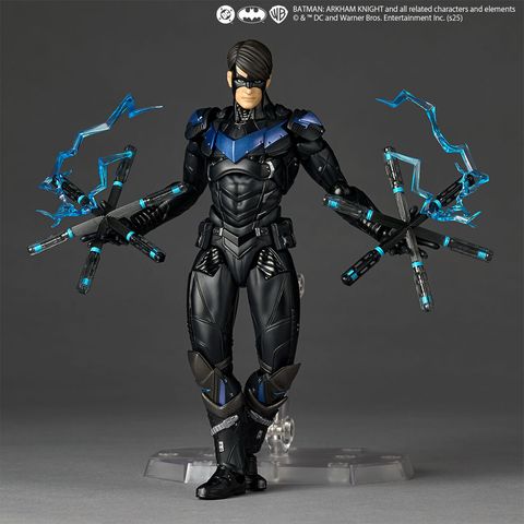AY_Nightwing_ArkhamKnight 001