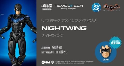 AY_Nightwing_ArkhamKnight 000