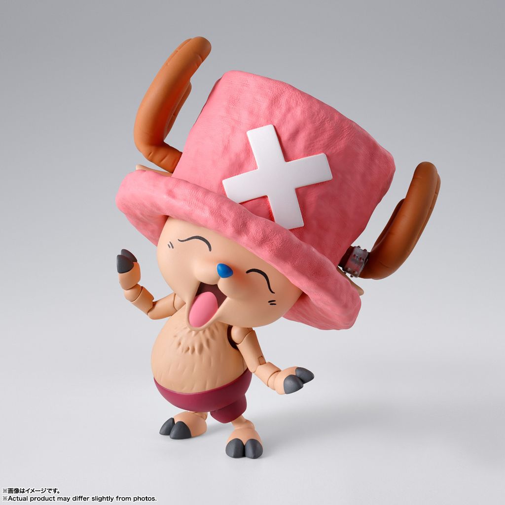 SHF_TonyTonyChopper_DrumIsland_OP 003