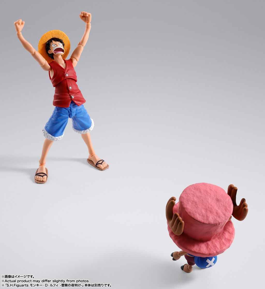 SHF_TonyTonyChopper_DrumIsland_OP 008