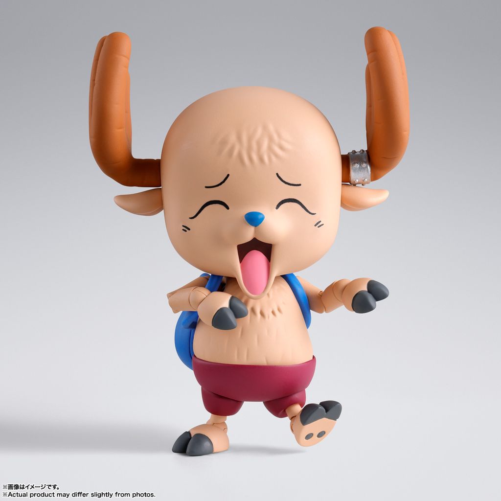 SHF_TonyTonyChopper_DrumIsland_OP 005