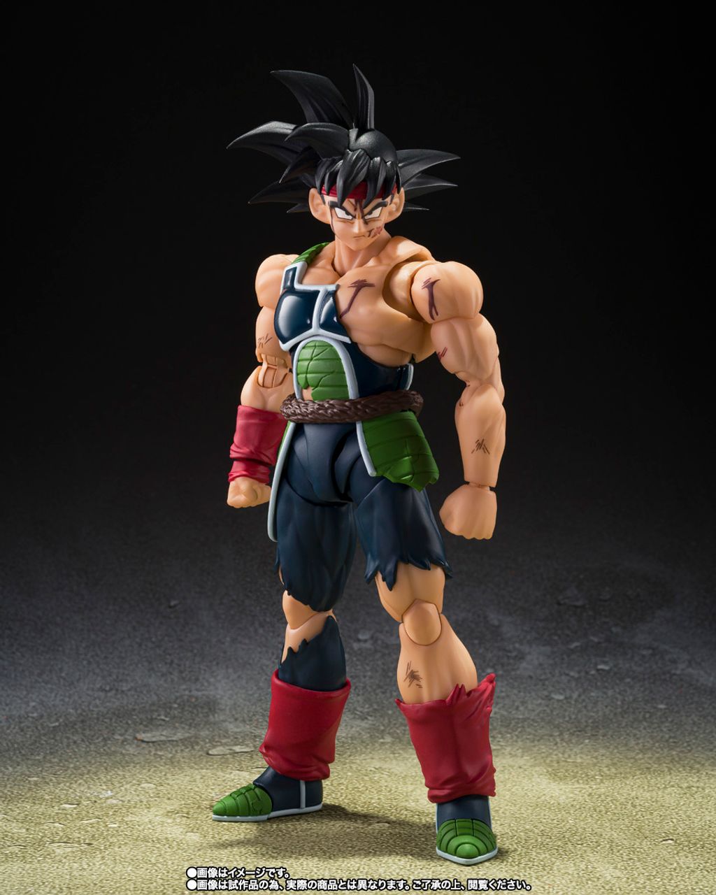 SHF_Bardock_TheFatherOfGoku_DBZ_PB 002