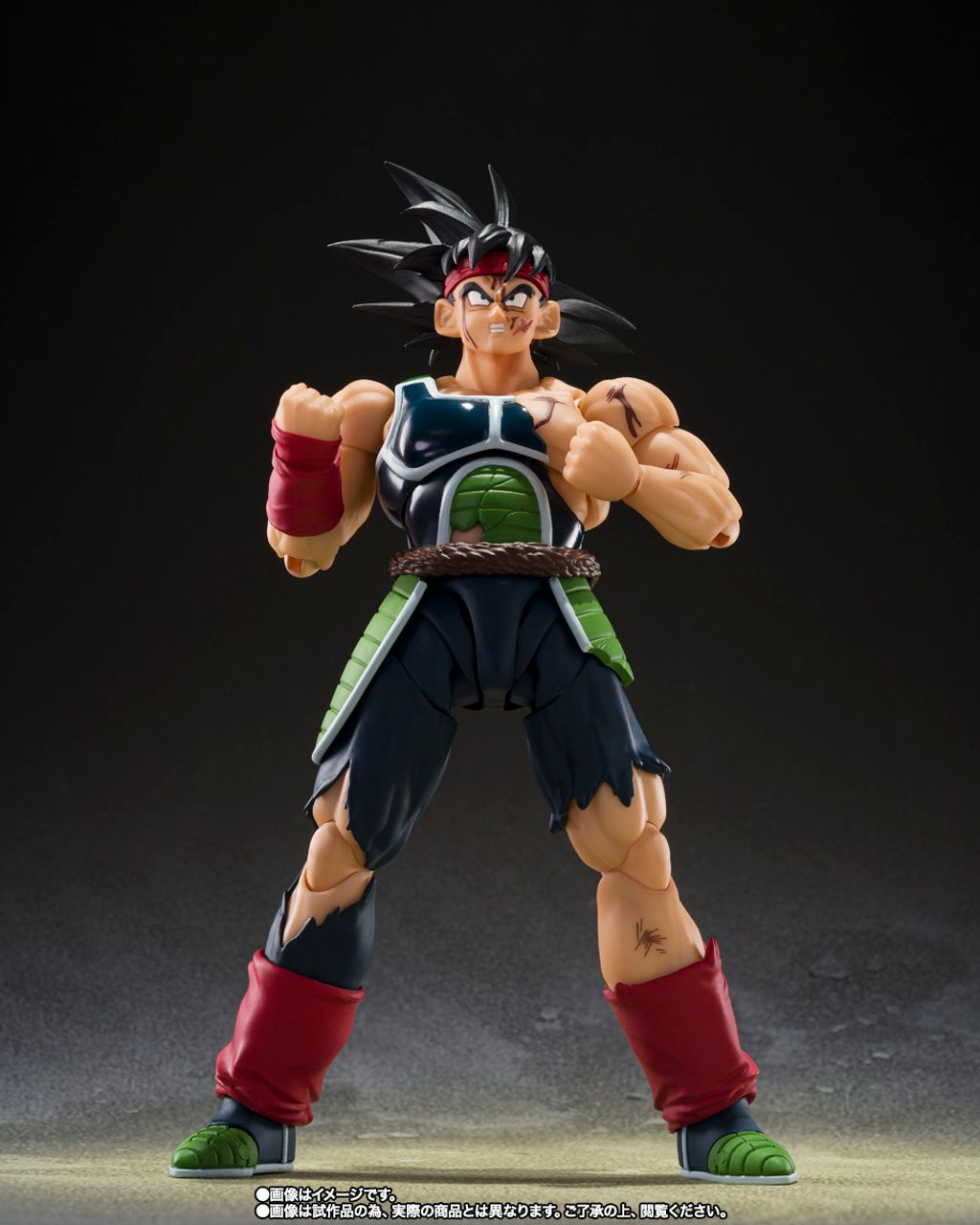 SHF_Bardock_TheFatherOfGoku_DBZ_PB 003
