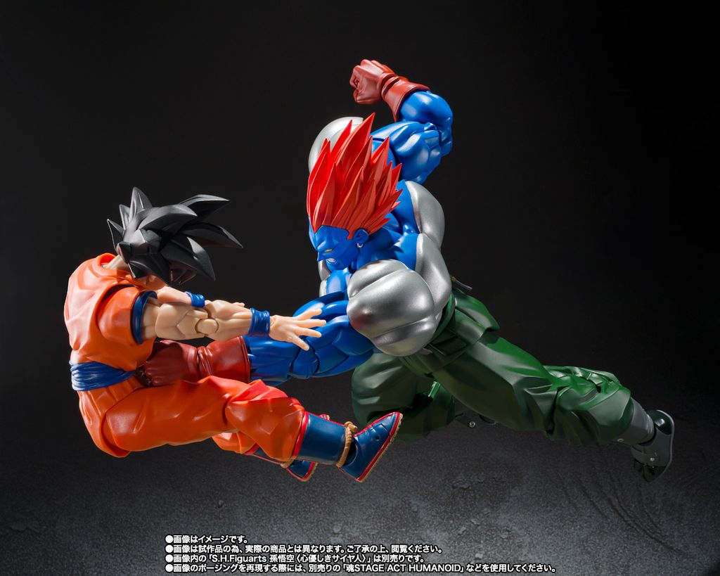 SHF_FusionAndroid13_DBZ_PB 008
