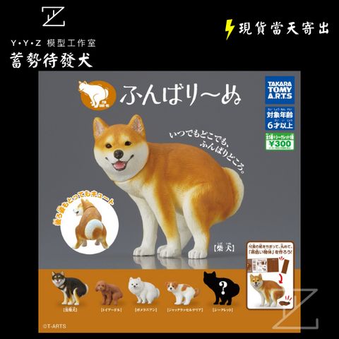 tw-11134207-7rbke-m93tdtddojxj66