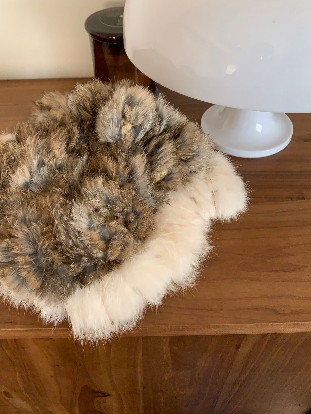 LINE_ALBUM_20241129 _10_241129_9