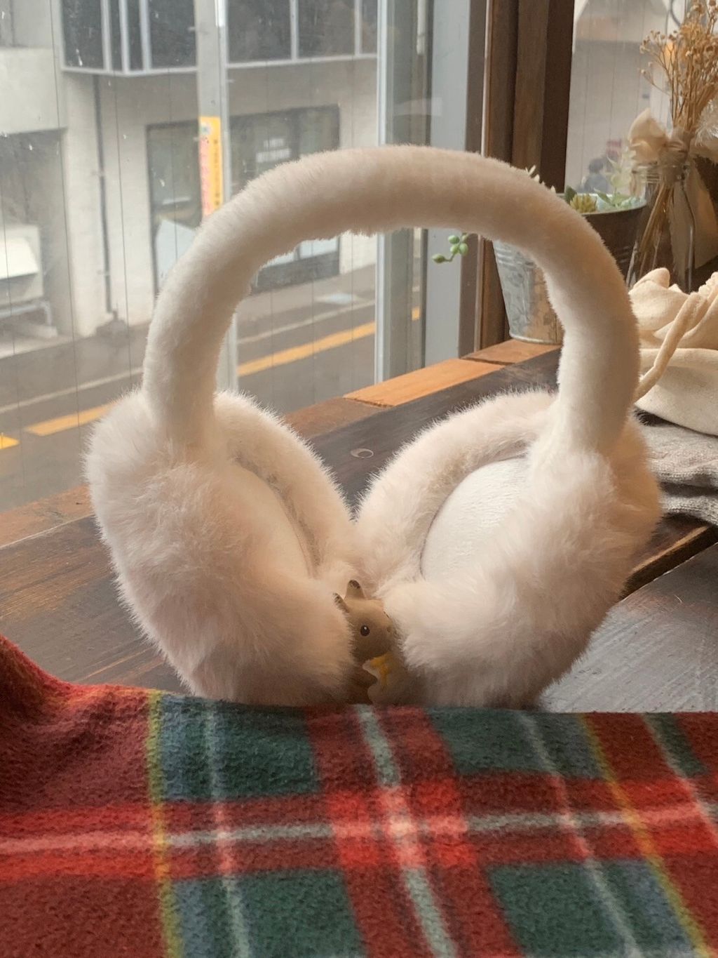 LINE_ALBUM_20241129 _10_241129_53