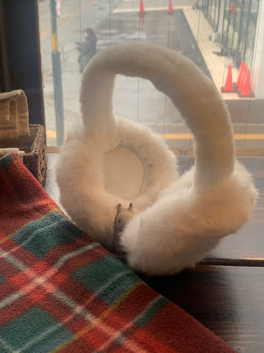 LINE_ALBUM_20241129 _10_241129_55