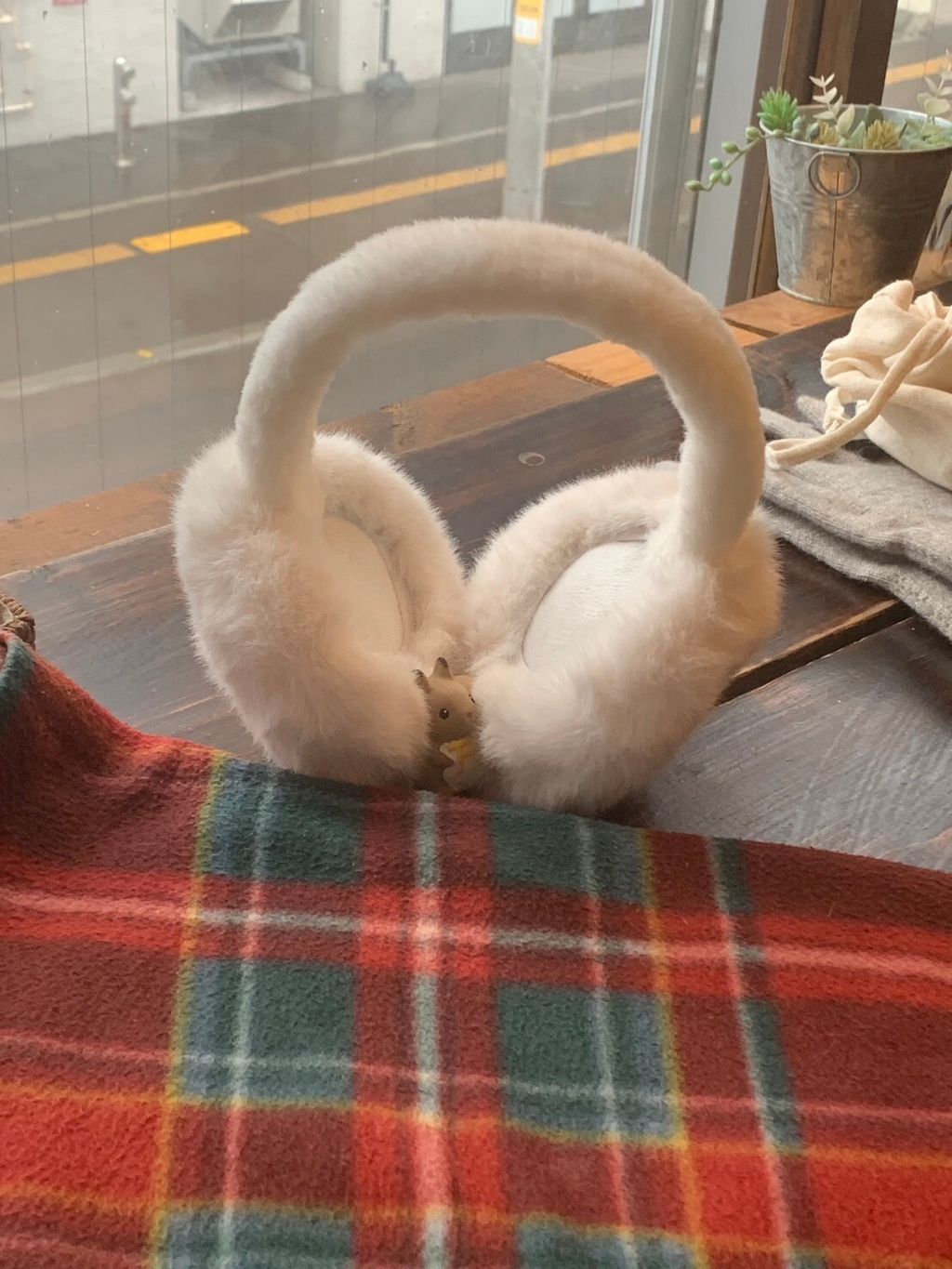 LINE_ALBUM_20241129 _10_241129_54