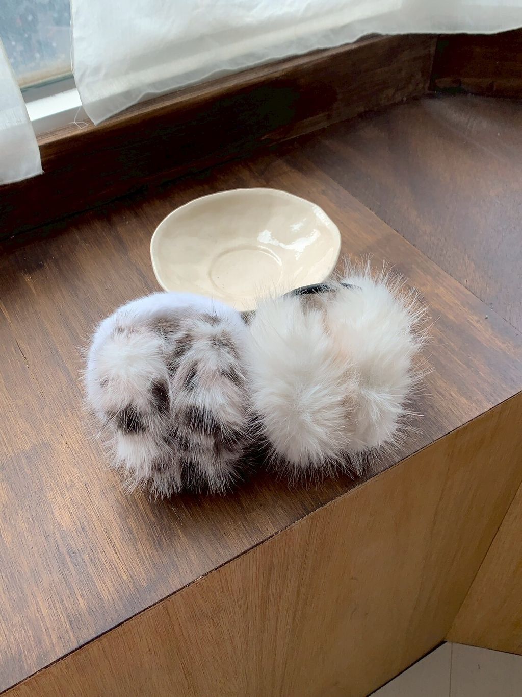 LINE_ALBUM_A05🩷🩷_260119_9