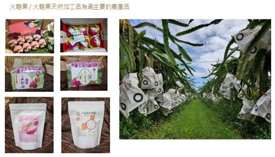 陳佳鈴/佳維農農場 | 優荳農