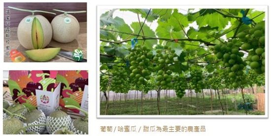 賴志豪/微笑農夫幸福果園 | 優荳農