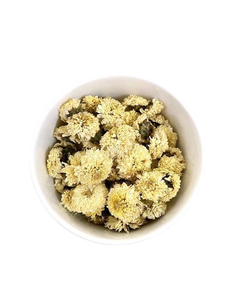 台灣杭菊01
