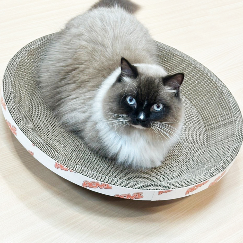 LINE_ALBUM_焦糖_250219_36