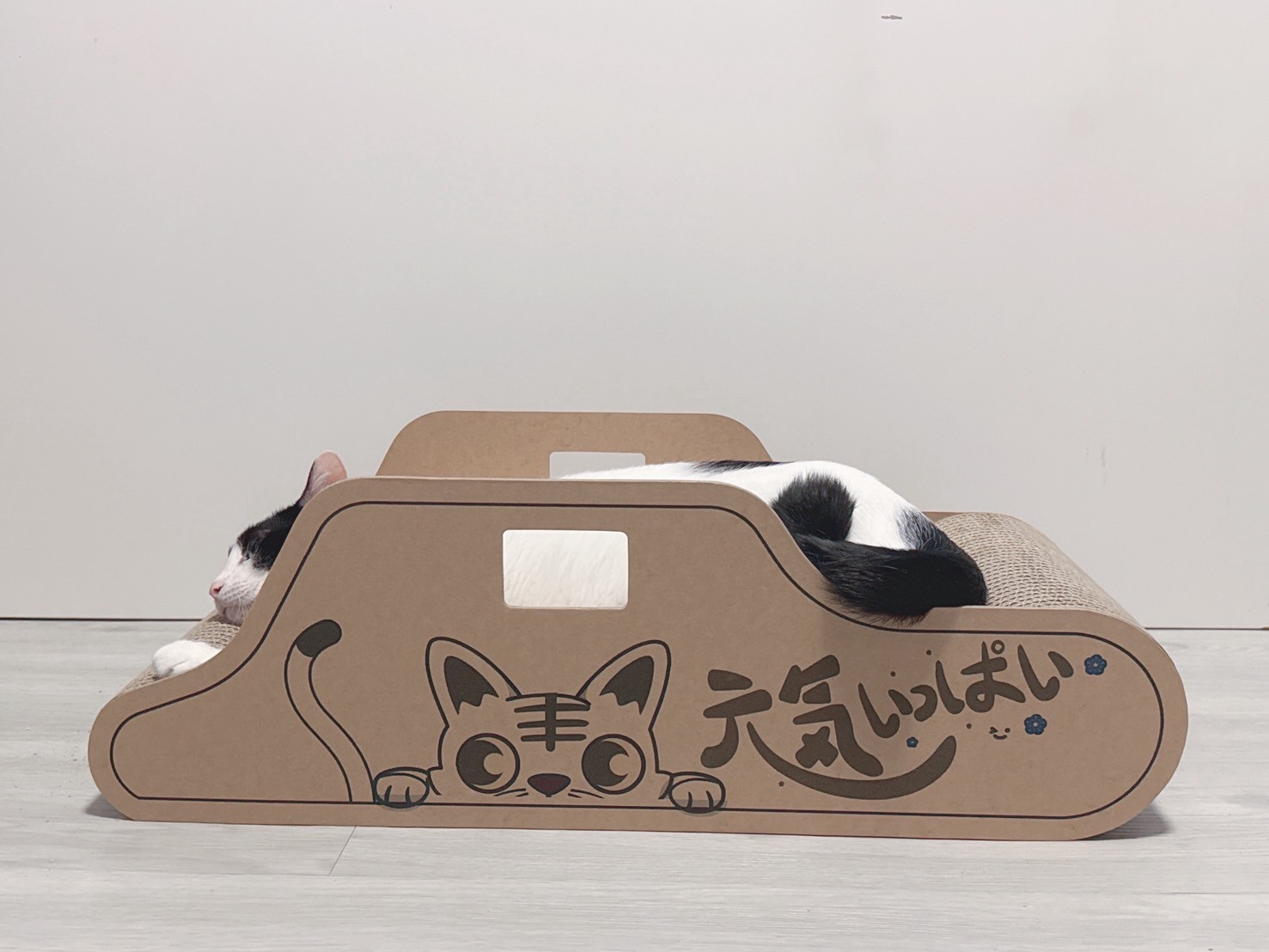 LINE_ALBUM_車車_250508_7