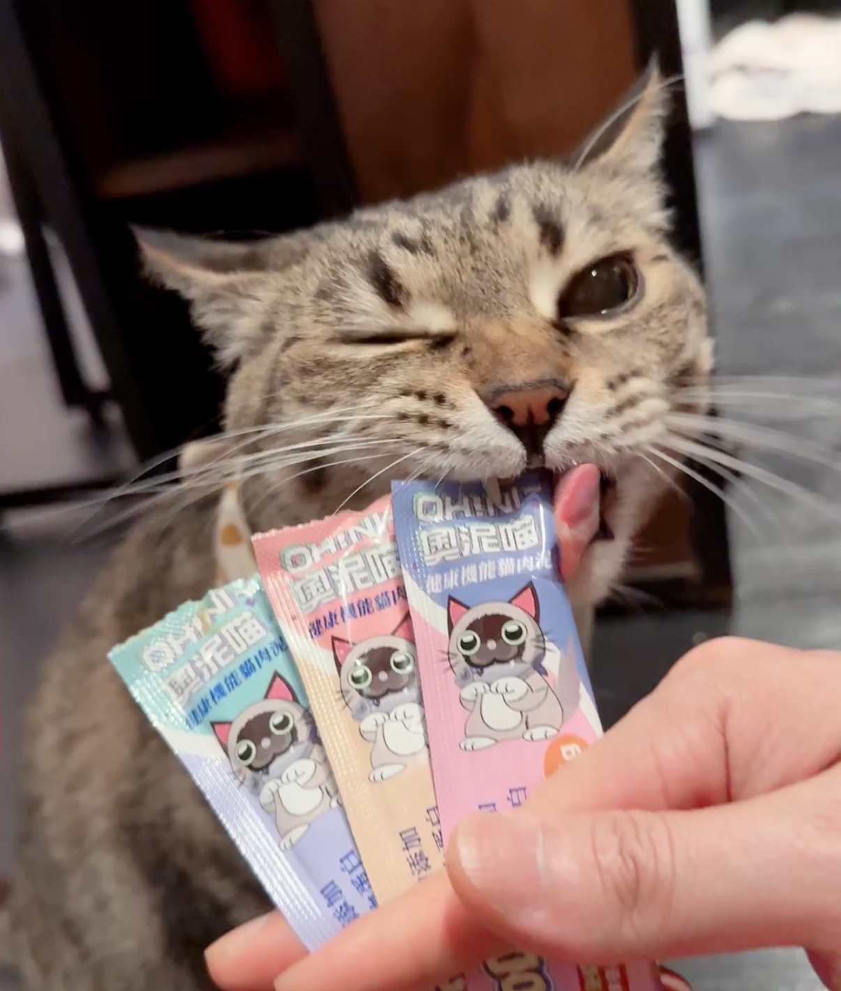 LINE_ALBUM_奥泥喵健康機能猫肉泥_250422_29
