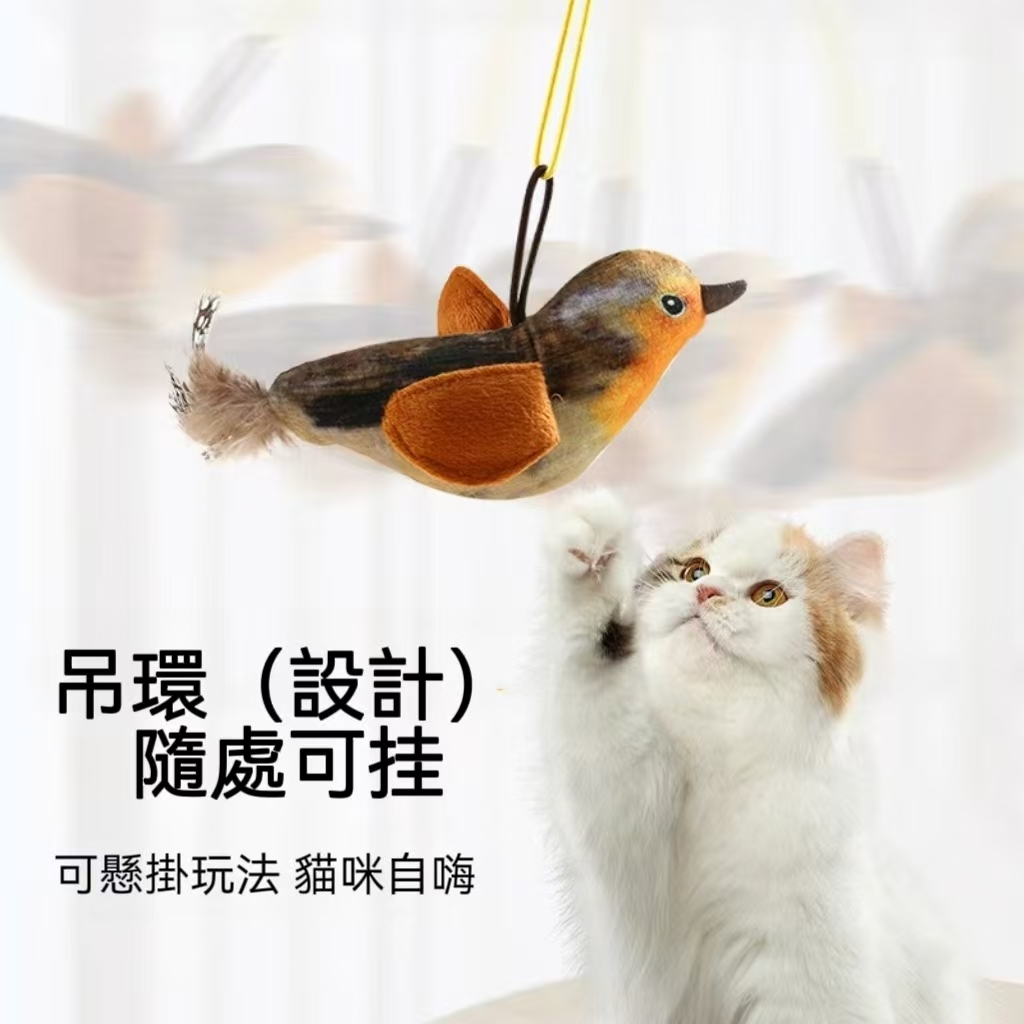 圖片_20250922135330_18_20