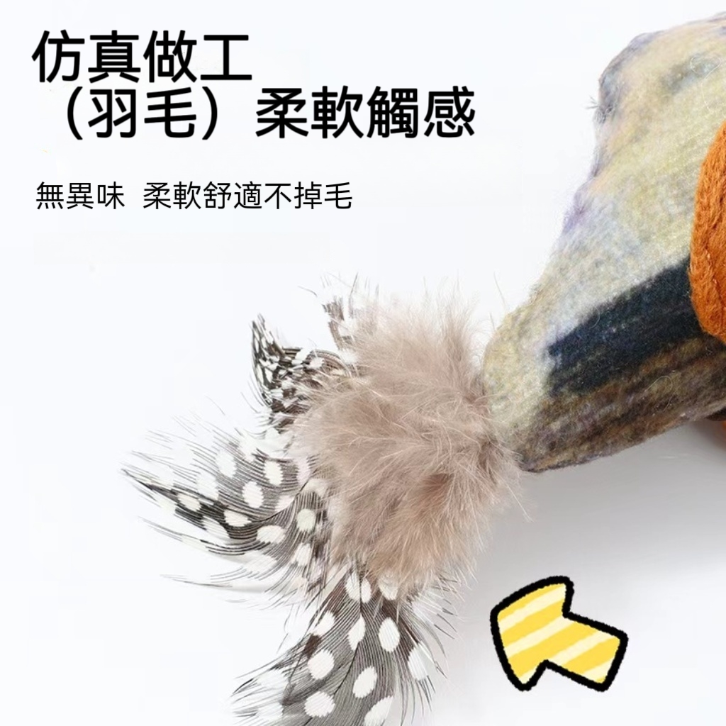 圖片_20250922135135_17_20