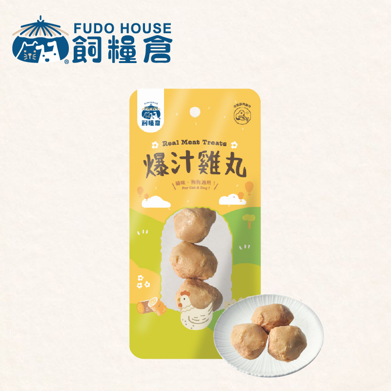 00爆汁雞丸-封面圖