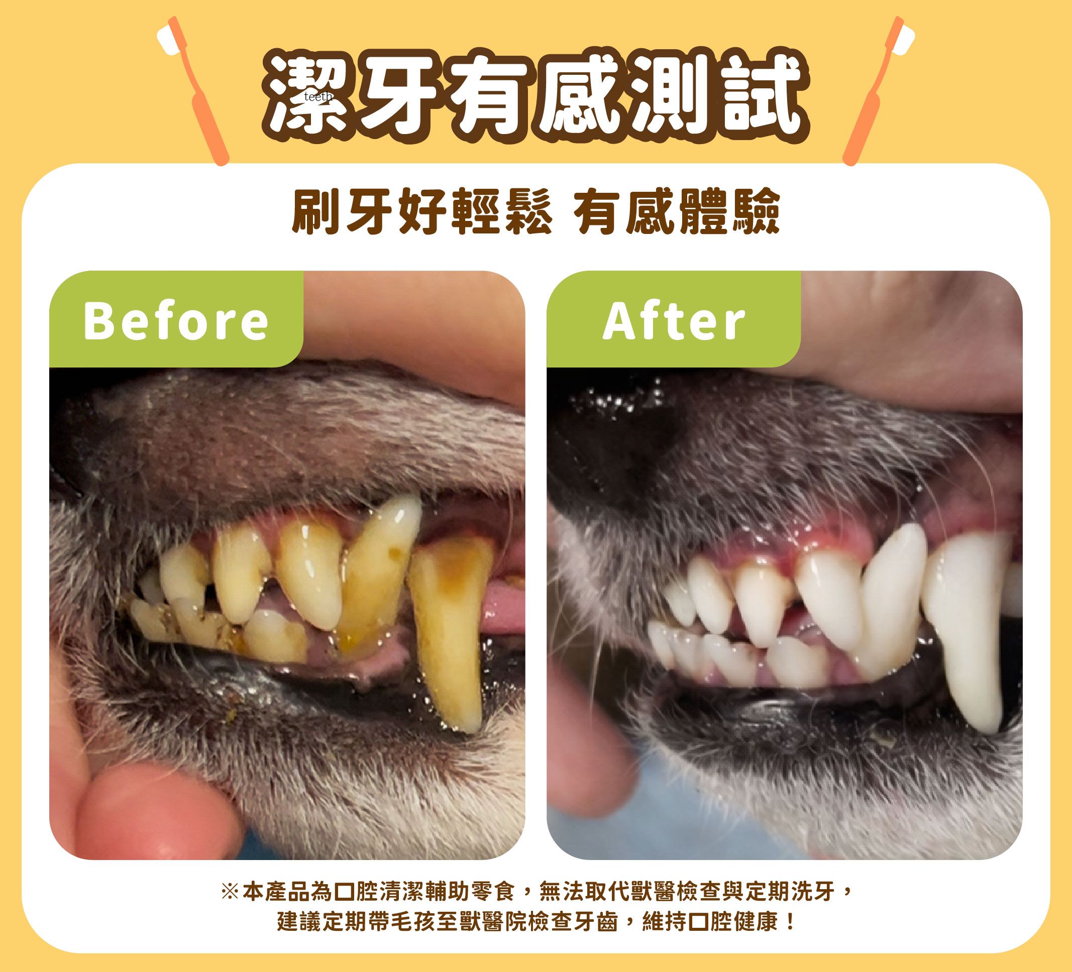 潔牙骨銷售業_cat6_複本