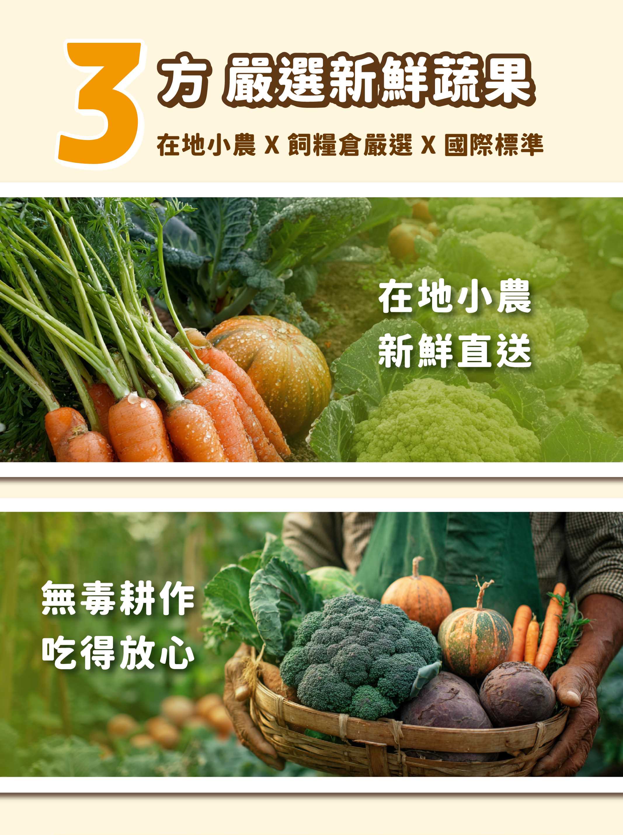 潔牙骨銷售業_cat8_複本