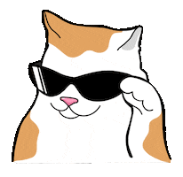 Cool Cat Sticker