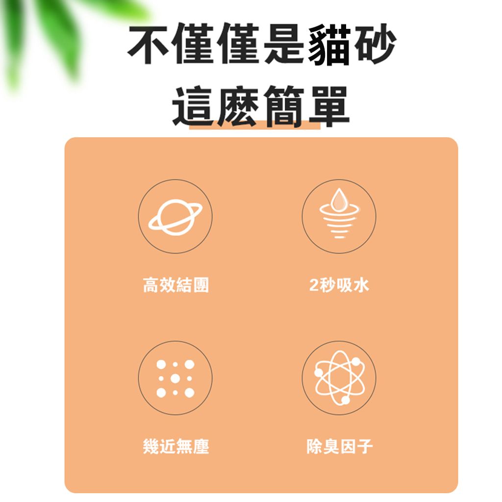 貓