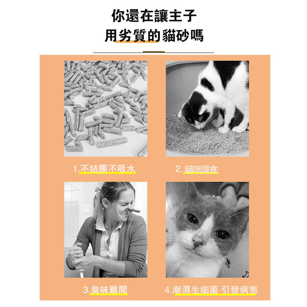 貓咪誤食
