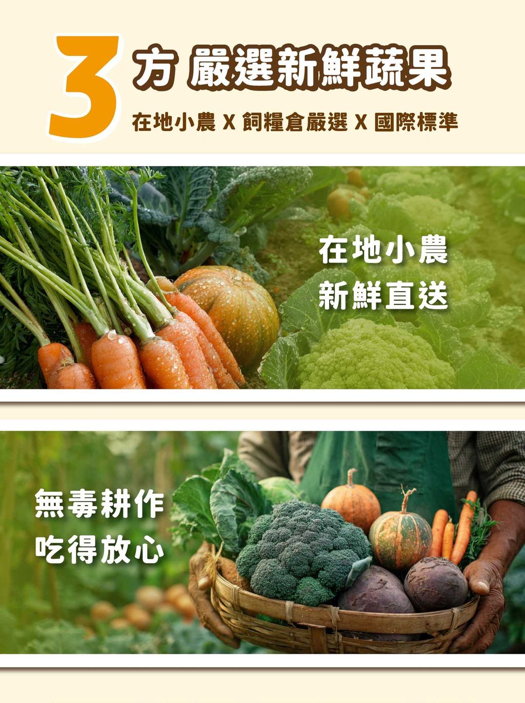 潔牙骨銷售業_cat8_複本