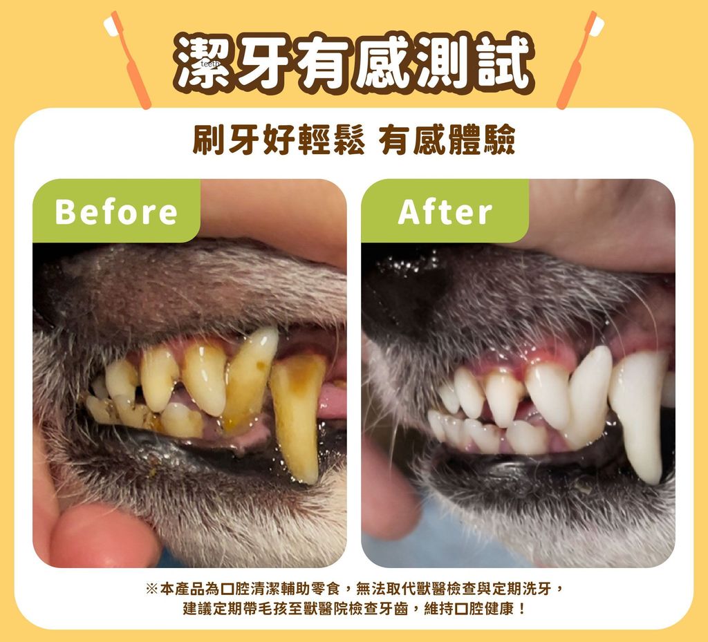 潔牙骨銷售業_cat6_複本