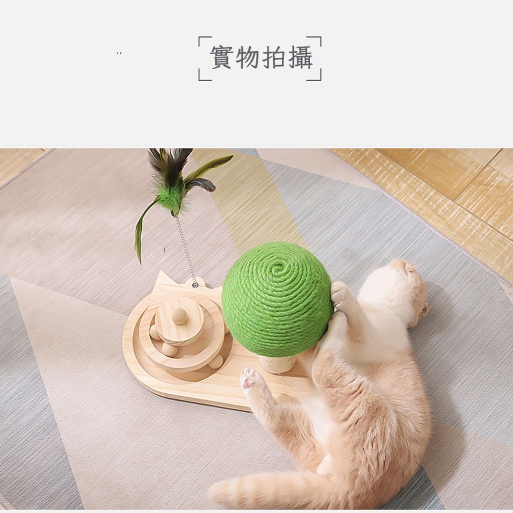 實物拍攝