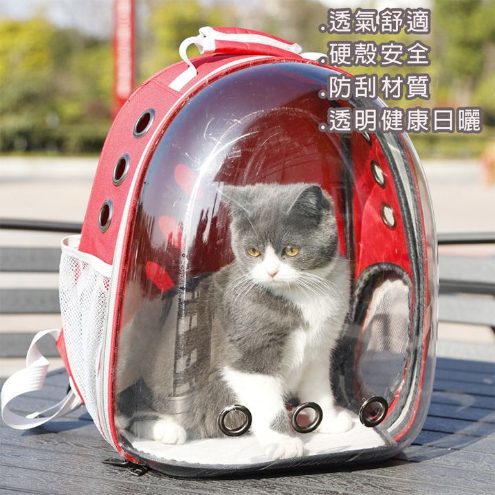 .透氣舒適 .硬殼安全 .防刮材質 .透明健康日曬