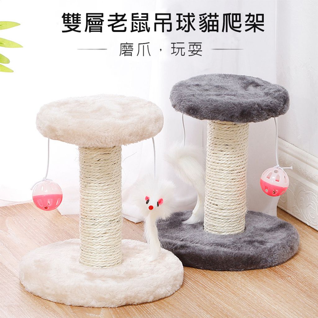磨爪，玩耍