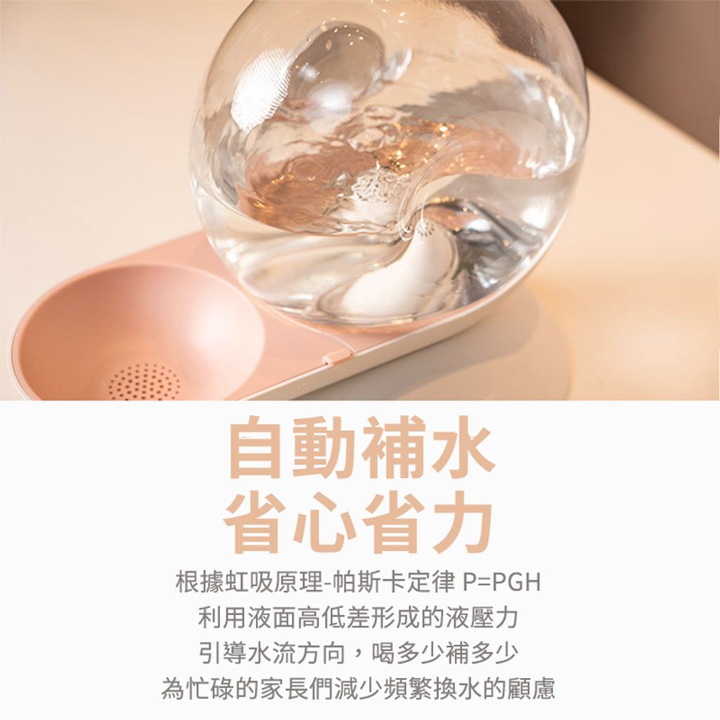 圖層 11