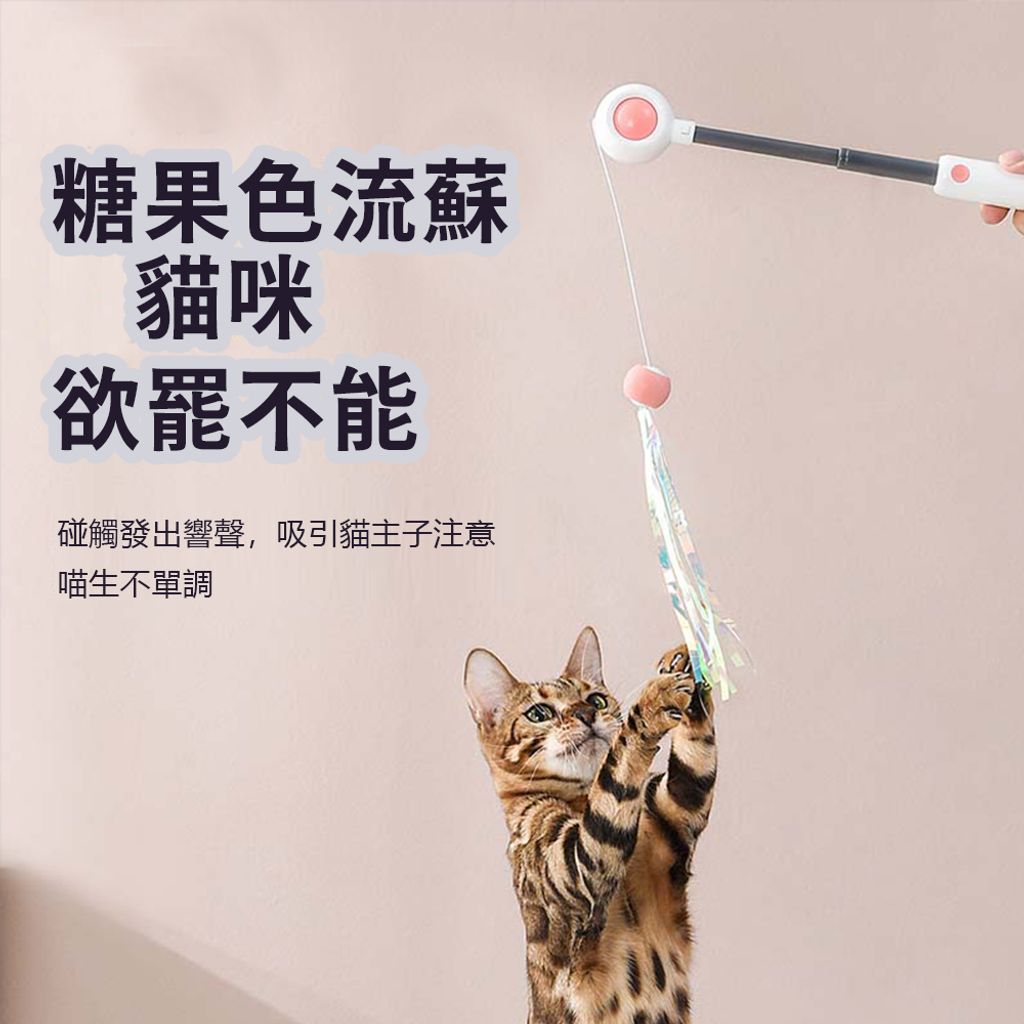 糖果色流蘇'