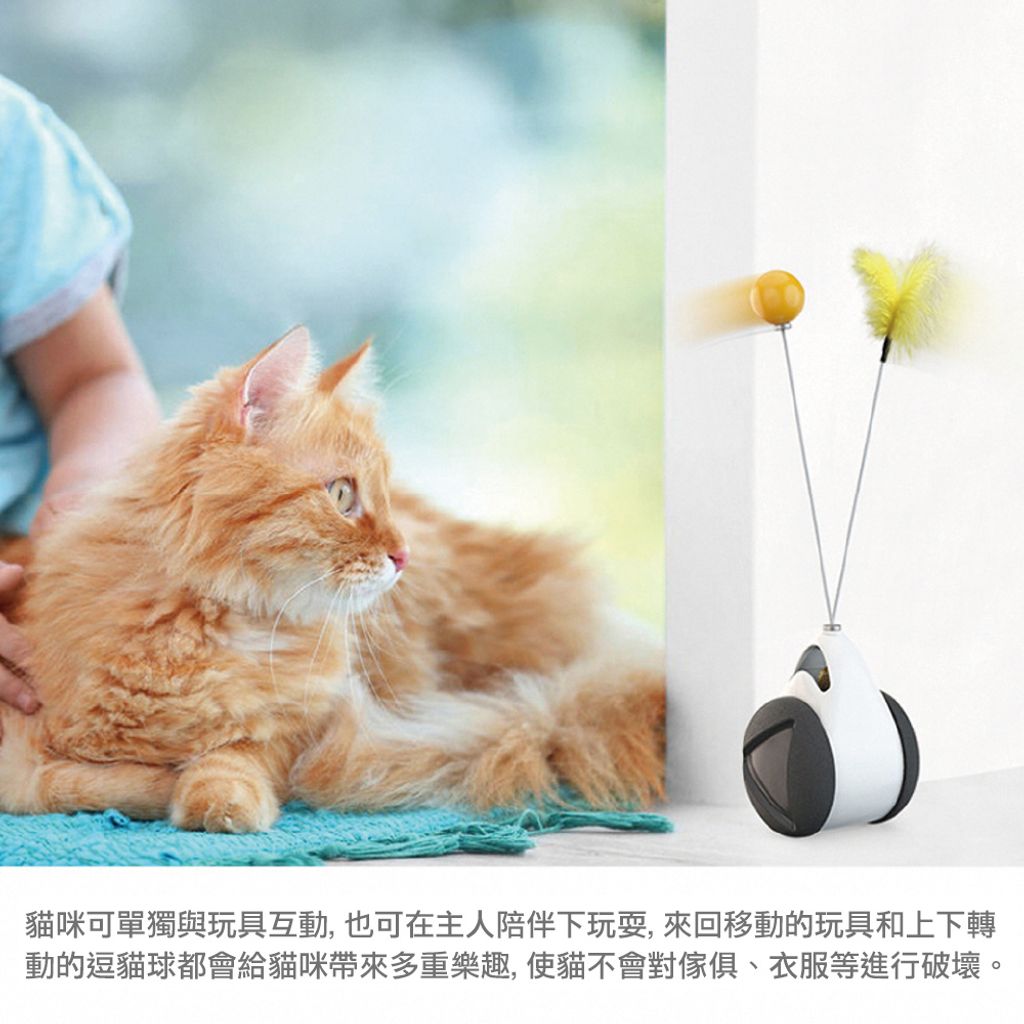 陪伴