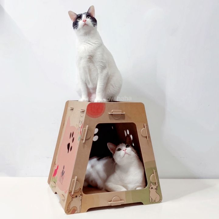 LINE_ALBUM_奧喵無窮貓屋_240517_43